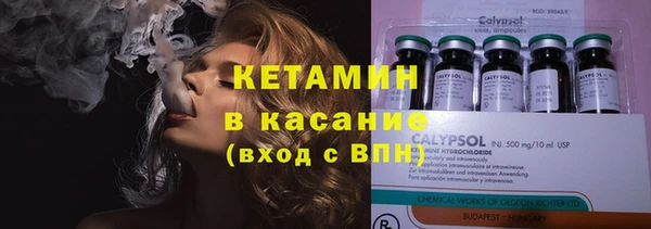 ГАЛЛЮЦИНОГЕННЫЕ ГРИБЫ Ельня