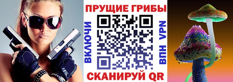 Псилоцибиновые грибы Psilocybine cubensis  Ивантеевка 